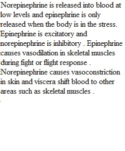 Peripheral Nervous System Questions 1